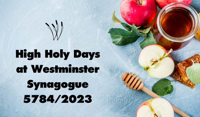 		                                		                                    <a href="/hhd-2023"
		                                    	target="">
		                                		                                <span class="slider_title">
		                                    High Holy Days 2023		                                </span>
		                                		                                </a>
		                                		                                
		                                		                            	                            	
		                            <span class="slider_description">Everything you need to know in the upcoming weeks.</span>
		                            		                            		                            <a href="/hhd-2023" class="slider_link"
		                            	target="">
		                            	Find out more		                            </a>
		                            		                            